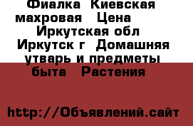 Фиалка “Киевская“ махровая › Цена ­ 160 - Иркутская обл., Иркутск г. Домашняя утварь и предметы быта » Растения   